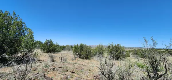 Chino Valley, AZ 86323,94 N Headwaters Road #8