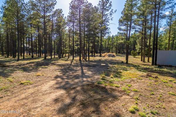 Overgaard, AZ 85933,2876 Homestead Drive #Parcel 2