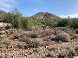 Scottsdale, AZ 85259,11708 E Windrose Drive #157