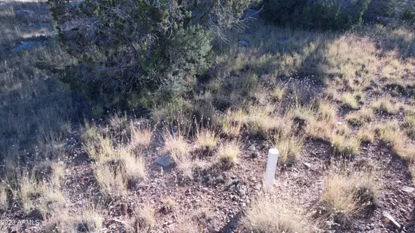 Seligman, AZ 86337,30863 W BASCONIA Road #4315