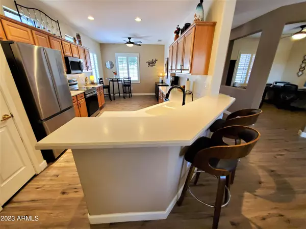 Surprise, AZ 85387,21203 N REDINGTON POINT Drive