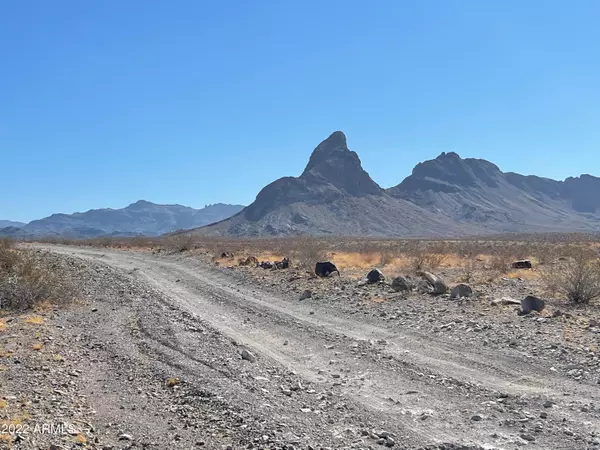 0 241 Acres Mohave Milltown Trail #-, Fort Mohave, AZ 86426