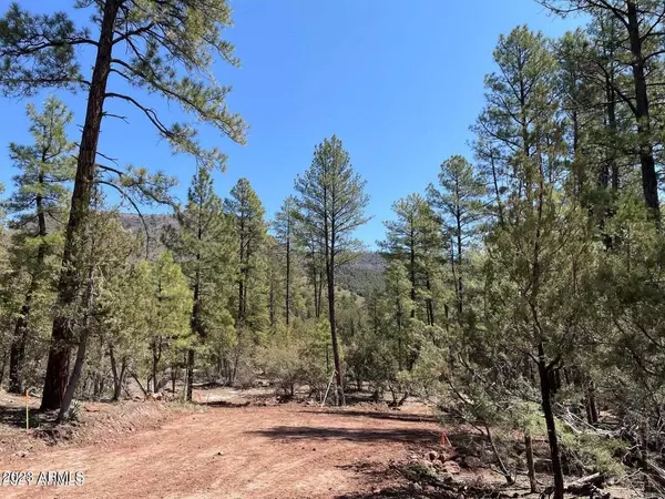 Pine, AZ 85544,0 Fawn Drive #-