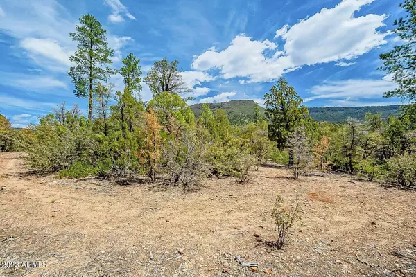 Pine, AZ 85544,0 Fawn Drive #-