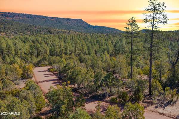 Pine, AZ 85544,0 Fawn Drive #-