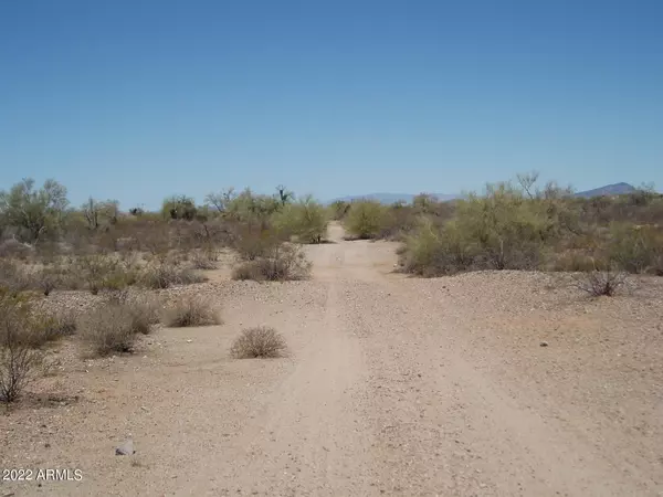 Unincorporated County, AZ 85390,33575 W Smokehouse Trail #102