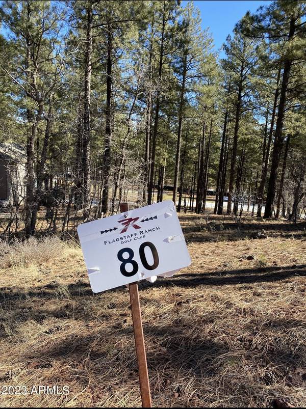 Flagstaff, AZ 86005,4120 S LARIAT LOT 80 Loop #80