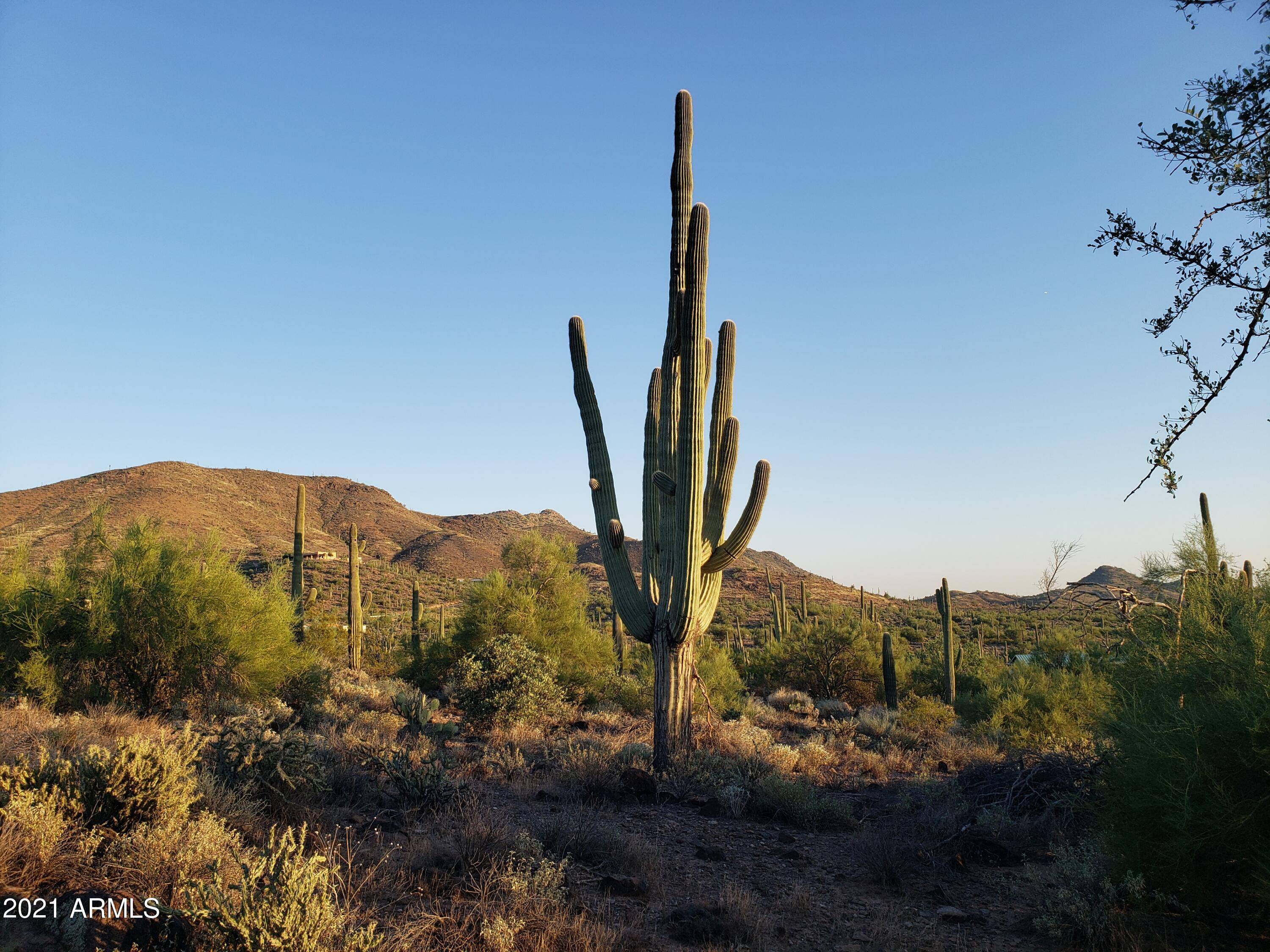 Cave Creek, AZ 85331,30 E Rockaway Hills Road #-
