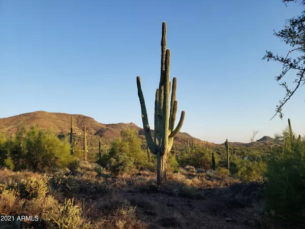 Cave Creek, AZ 85331,30 E Rockaway Hills Road #-