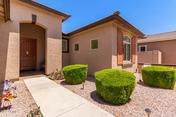 Gilbert, AZ 85297,1144 E FURNESS Drive