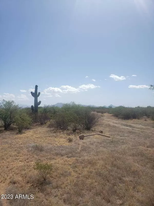 Marana, AZ 85653,0 W FLYBUOY RANCH Road #2