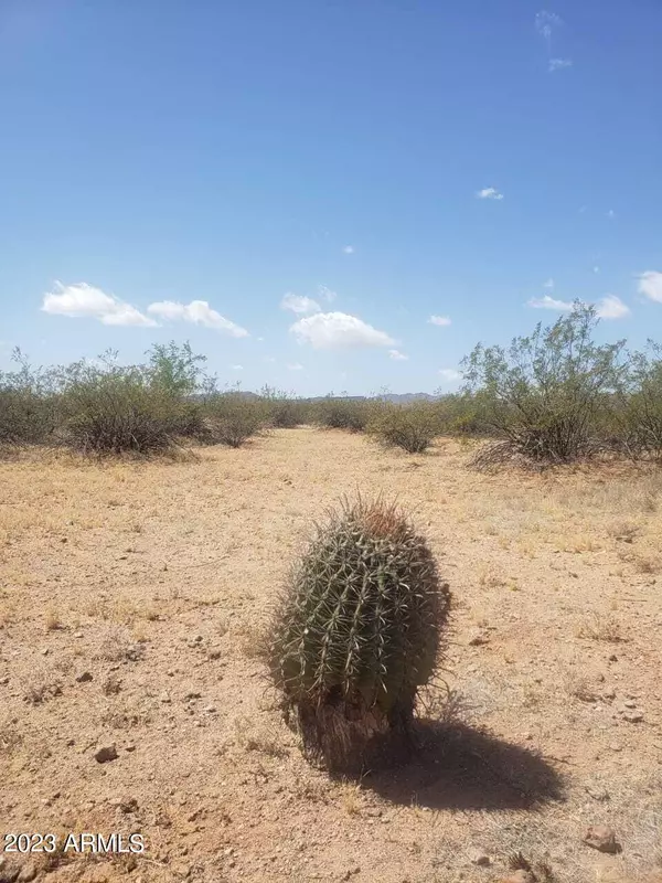 Marana, AZ 85653,0 W FLYBUOY RANCH Road #2