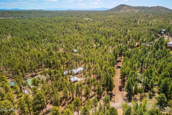 Pinetop, AZ 85935,E Nora Lane #9