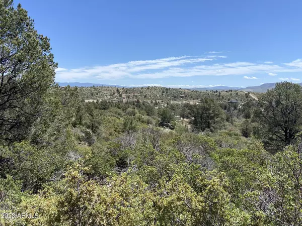 Peeples Valley, AZ 86332,17 S Pinon Lane #M2