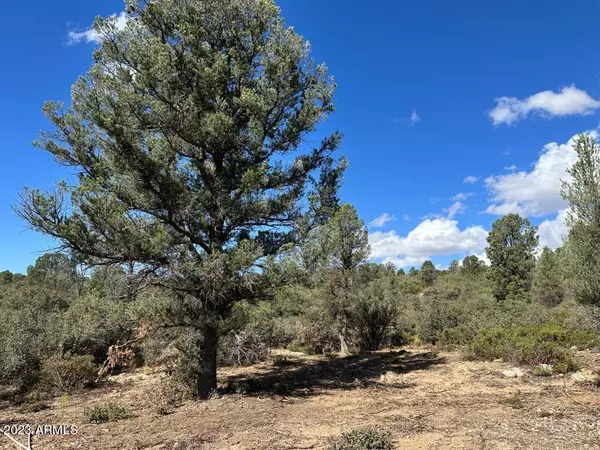 Peeples Valley, AZ 86332,17872 S Pinon Lane #M3