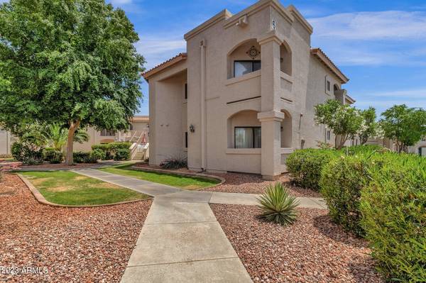 Peoria, AZ 85381,9151 W GREENWAY Road #135