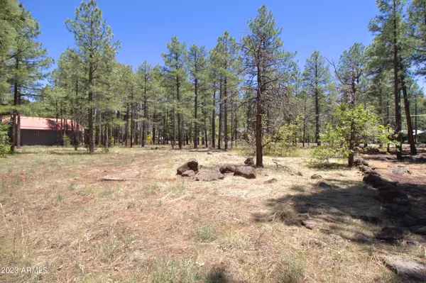 Pinetop, AZ 85935,7466 Buck Springs Road #175