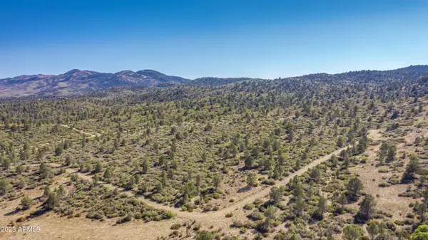 Peeples Valley, AZ 86332,0 Big Sky Drive -- #1C-1 and 1C-2