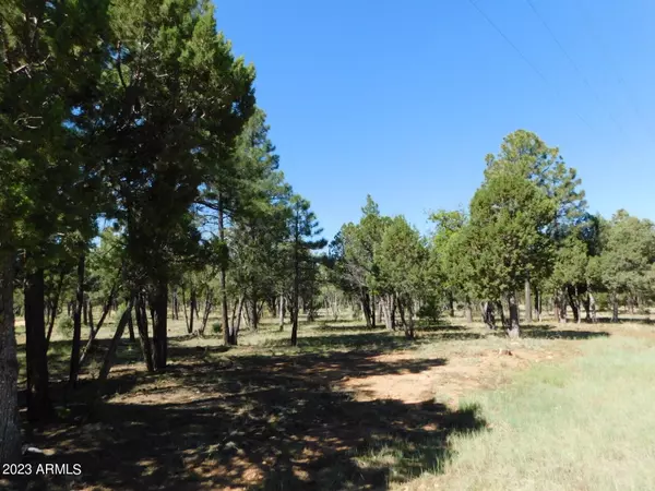 Happy Jack, AZ 86024,4935 Starlight Drive #152