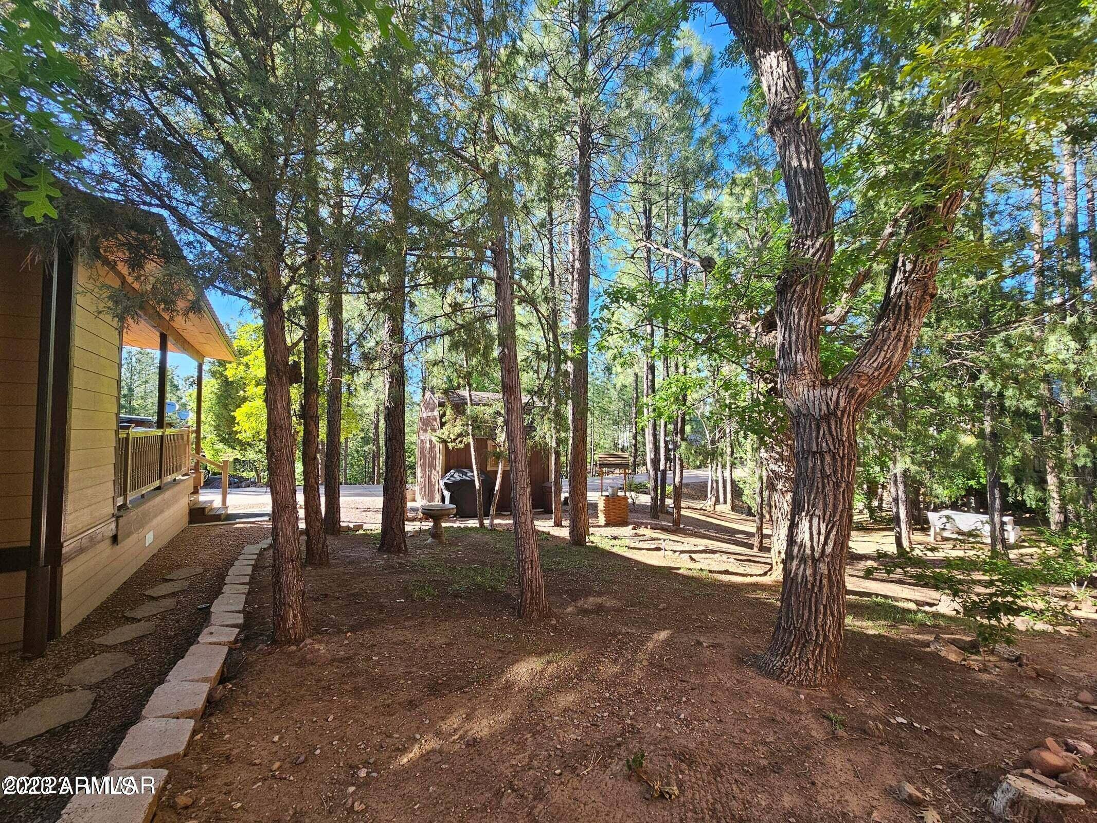 Show Low, AZ 85901,2311 E HANGING TREE Trail