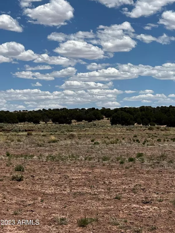 Concho, AZ 85924,9310 River Meadows  Ranch Parcel 15 Road #15