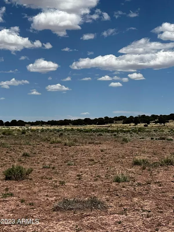 Concho, AZ 85924,9310 River Meadows  Ranch Parcel 15 Road #15