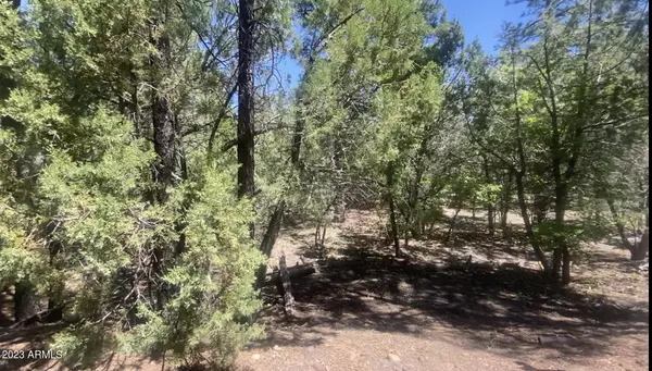 Davis Lane #-, Pinetop-lakeside, AZ 85929