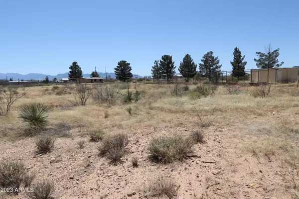 Huachuca City, AZ 85616,N Calle Primero Road #-