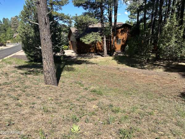 Pinetop-lakeside, AZ 85929,60 E Pebble Creek Lane #60