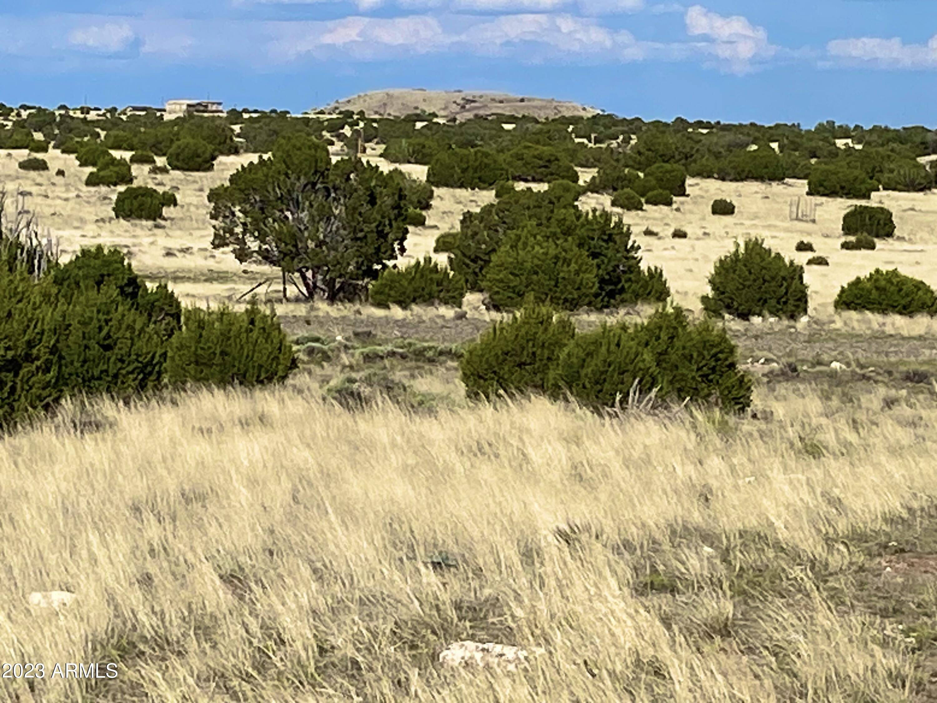 Concho, AZ 85924,45 Co Rd 8643  7.4 Acres -- #-