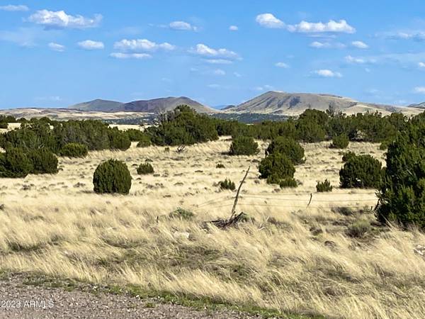 Concho, AZ 85924,45 Co Rd 8643  7.4 Acres -- #-