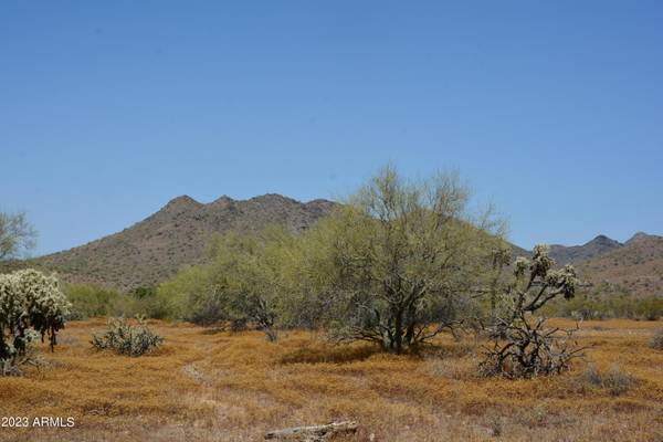 Cave Creek, AZ 85331,0 N PRICKLEY PEAR Road #89