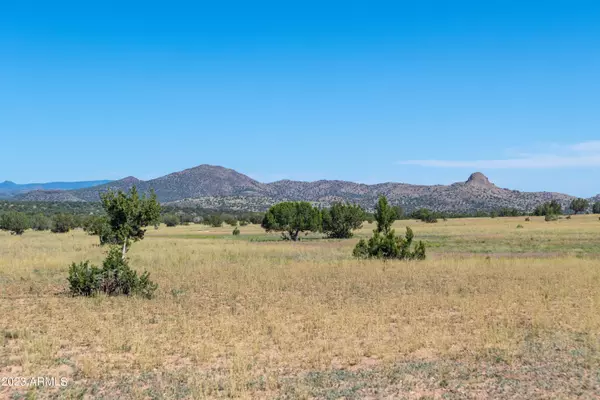 Paulden, AZ 86334,10 W DEEP WATER Road #11