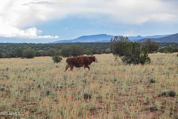 Paulden, AZ 86334,10 W DEEP WATER Road #11