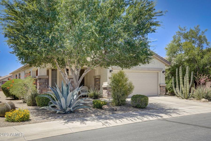 172 W LATIGO Circle, San Tan Valley, AZ 85143