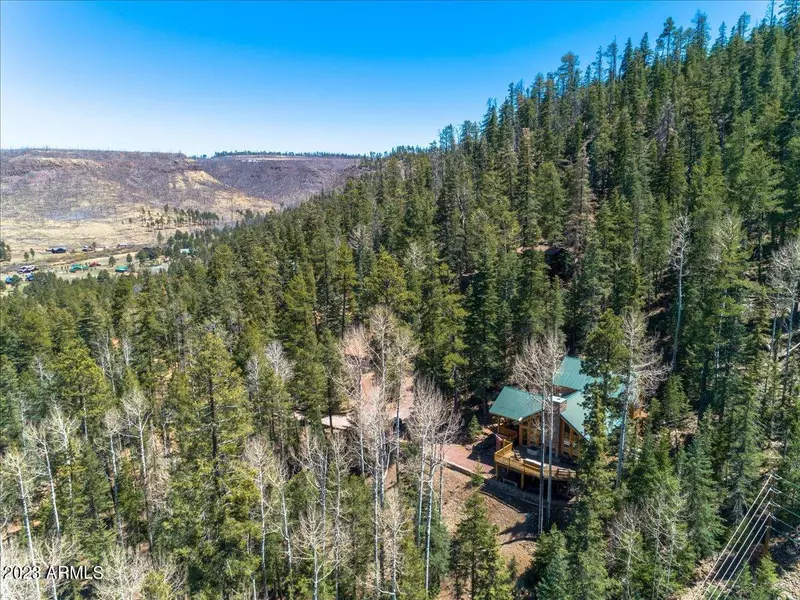 7 COUNTY ROAD N1317 --, Greer, AZ 85927