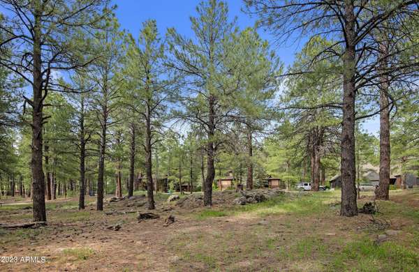 2234 Sedgwick -- #86, Flagstaff, AZ 86005