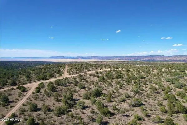 Seligman, AZ 86337,Avalon Way 1.96 Acres -- #1044