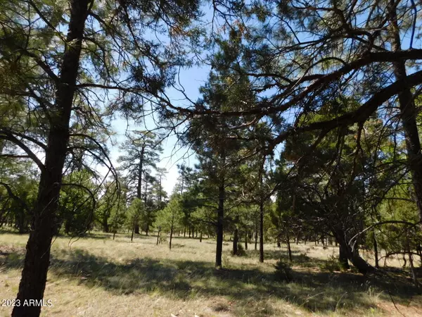 4890 Juniper Drive #132, Happy Jack, AZ 86024