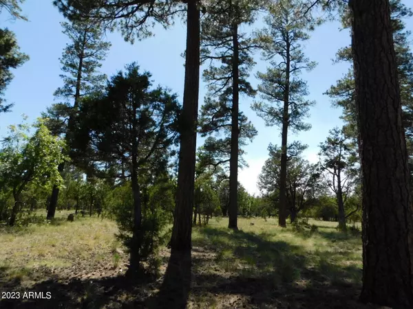 Happy Jack, AZ 86024,4890 Juniper Drive #132