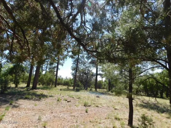 Happy Jack, AZ 86024,4890 Juniper Drive #132
