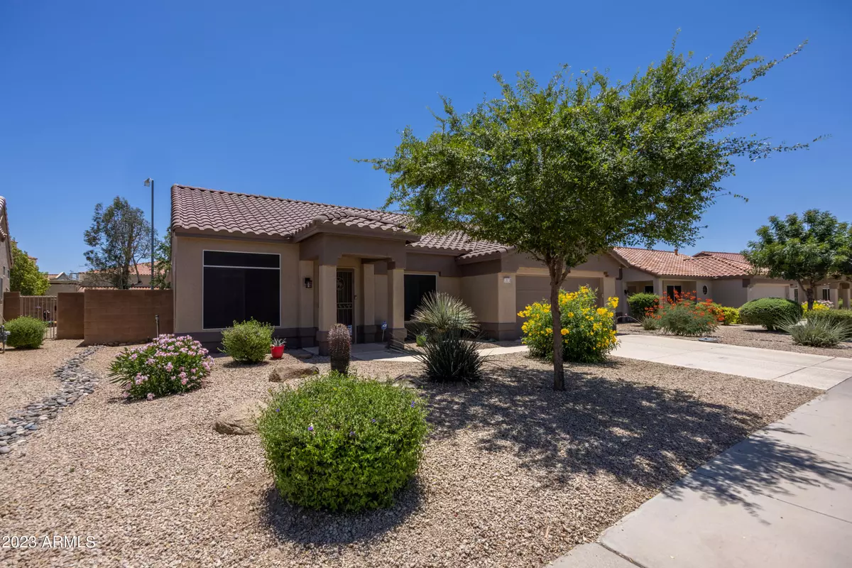 Sun City West, AZ 85375,13511 W CAVALCADE Drive