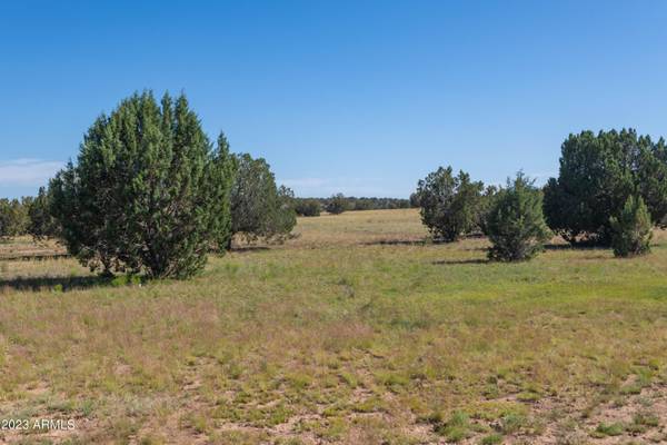 Paulden, AZ 86334,10 EAST DEEP WATER Road #11