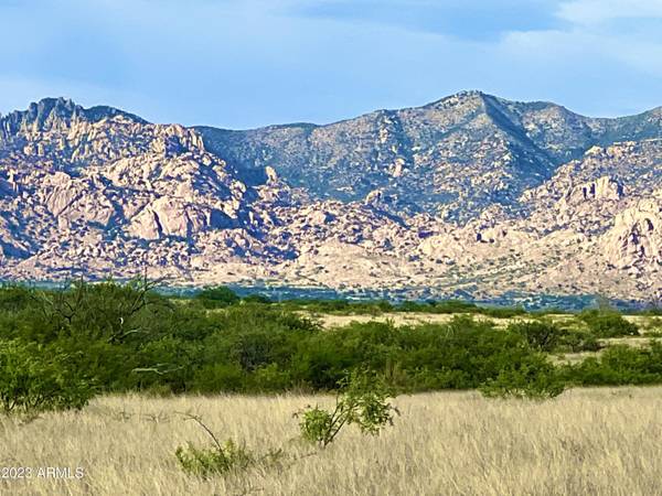 Saint David, AZ 85630,CochiseTrail 36.10 Acres -- #26