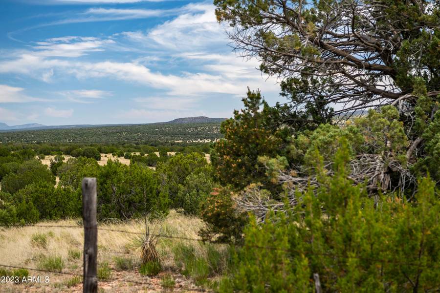 0 Wooden Ear Lot B -- #50, Seligman, AZ 86337