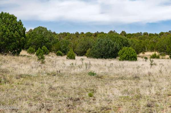 Seligman, AZ 86337,0 Wooden Ear Ranch Road #50