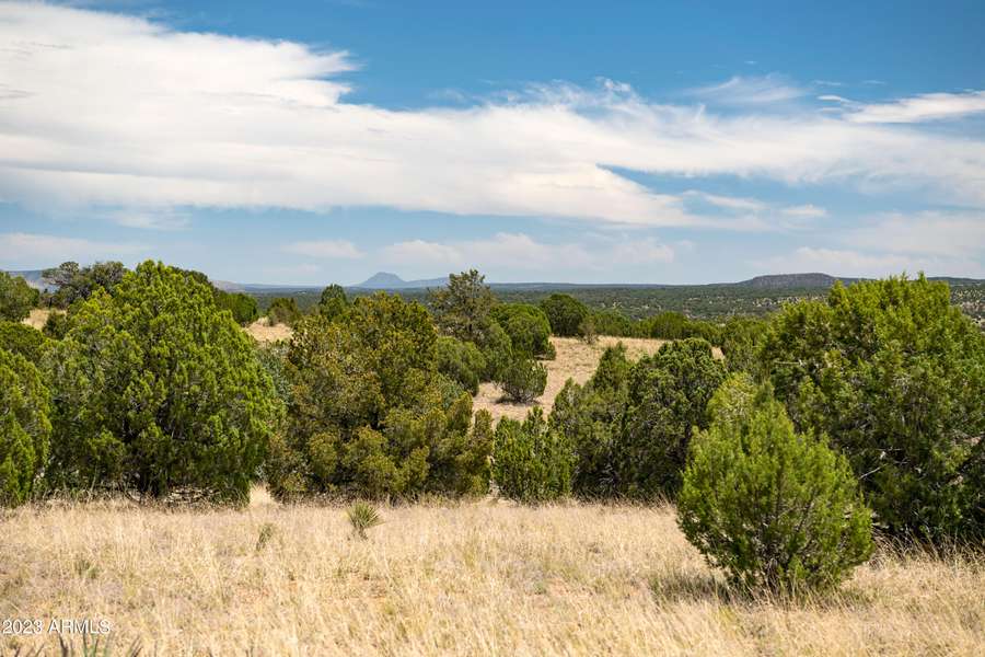 0 Wooden Ear Ranch Road #50, Seligman, AZ 86337