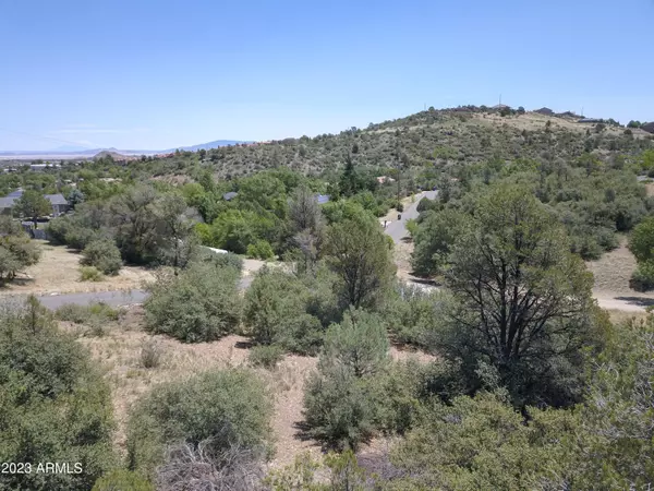 Prescott, AZ 86301,419 BUCKSKIN Road #-