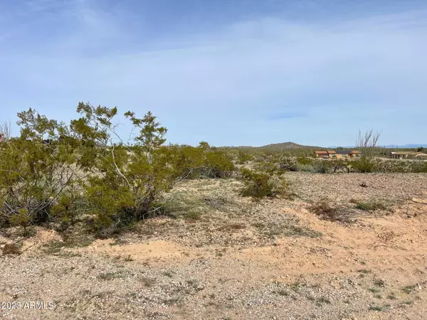 Tonopah, AZ 85354,33410 W Pierson Street #-