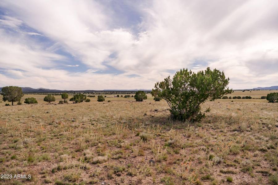 1 Kirby Lane Parcel B1 Lane #58, Ash Fork, AZ 86320